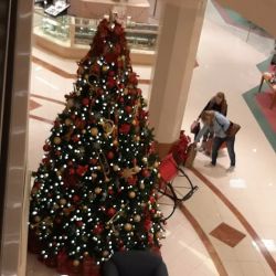 Von Maur ico