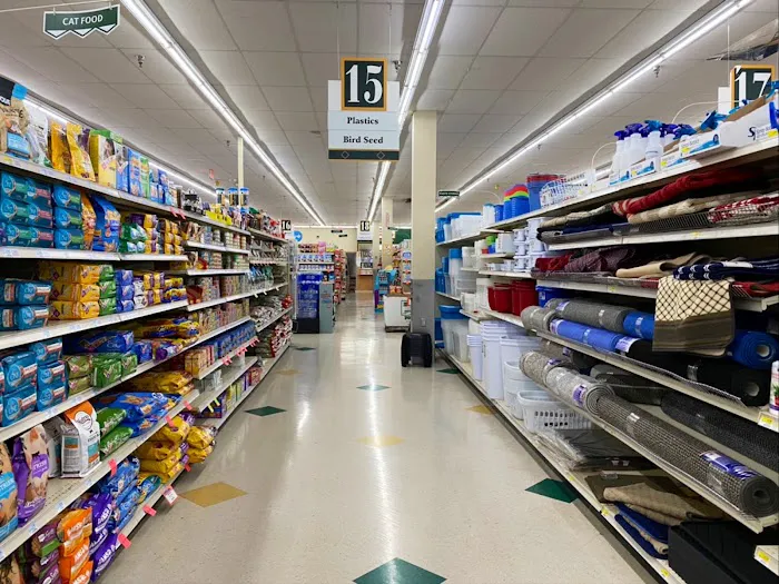Discount Drug Mart 1
