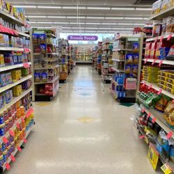 Discount Drug Mart ico