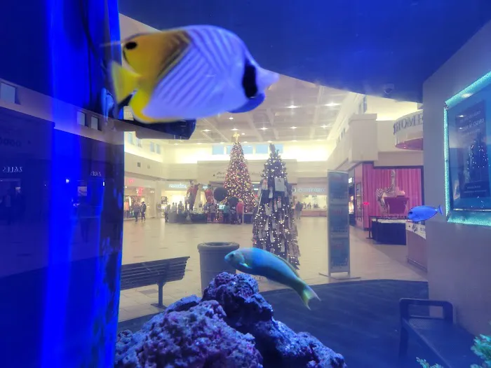 Boscov's 6