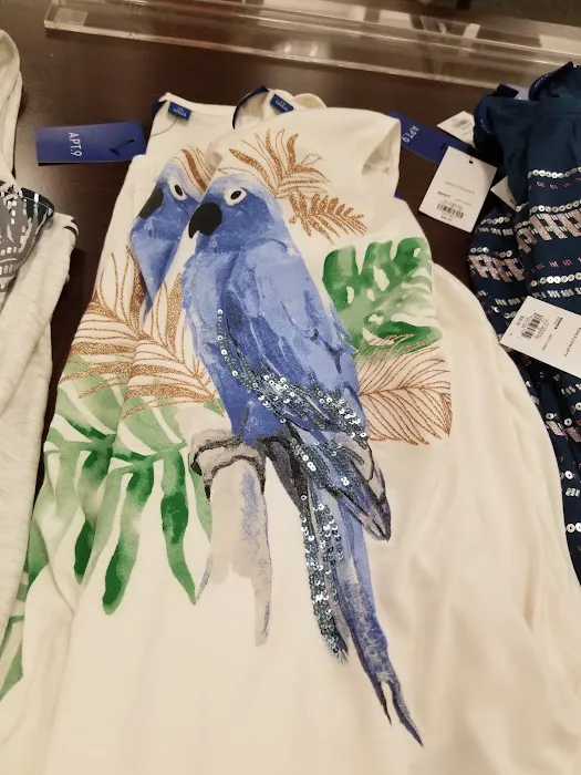 Kohl's 0