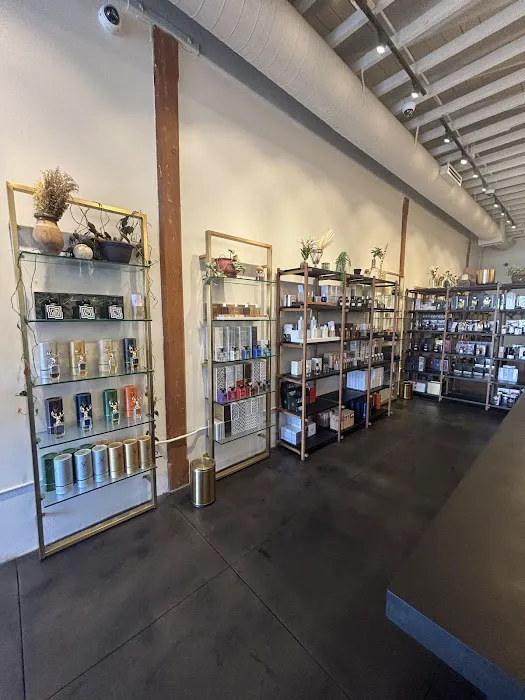 The Scent Room 0