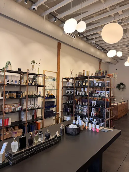 The Scent Room 4