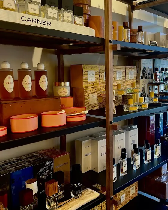 The Scent Room 5