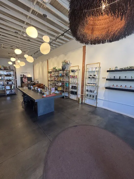 The Scent Room 7