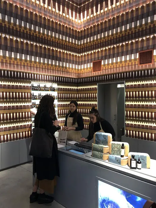 Aesop The Platform 0