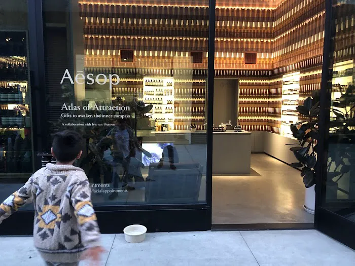 Aesop The Platform 1