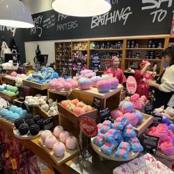 Lush Cosmetics Mission Viejo ico