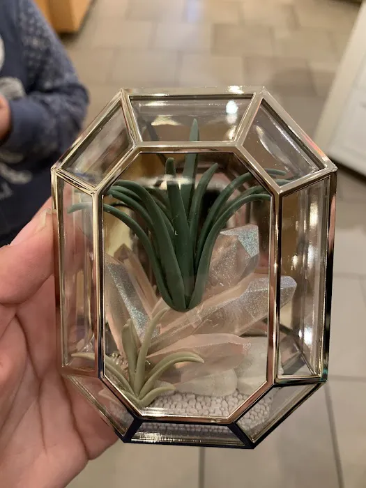 Bath & Body Works 5