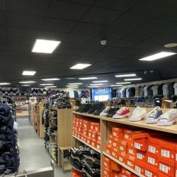Frank Collection ico