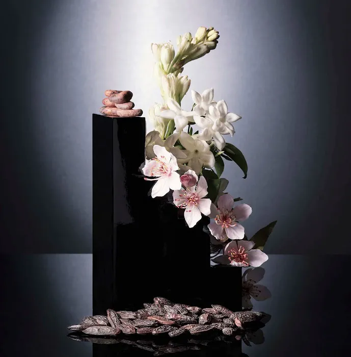 Perfume Gallery 5