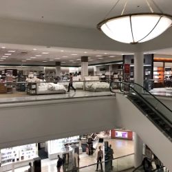 Macy's ico