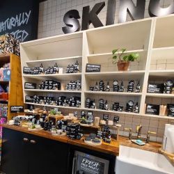 Lush Cosmetics Pacific City Center ico