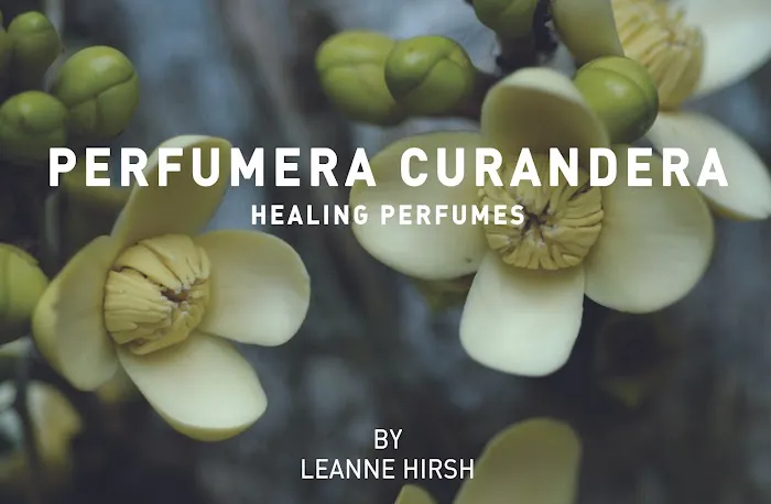 Perfumera Curandera 9