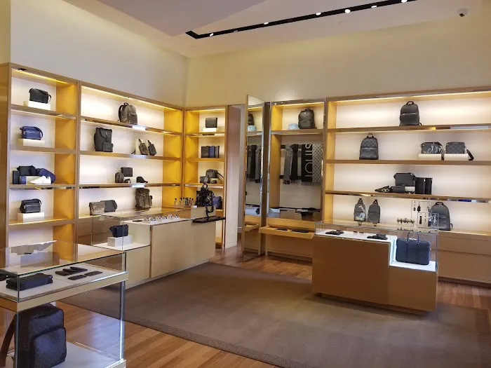 Louis Vuitton Palm Desert 5
