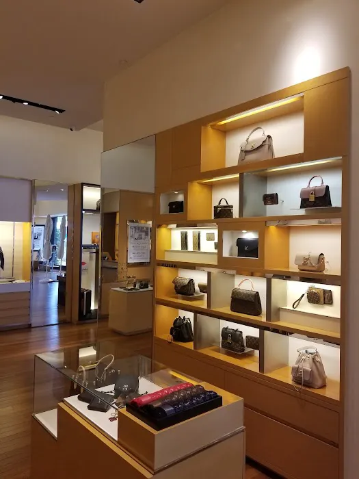 Louis Vuitton Palm Desert 6