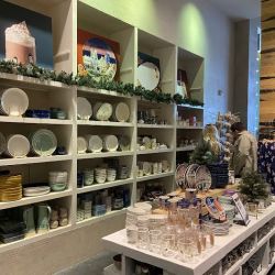 Anthropologie ico