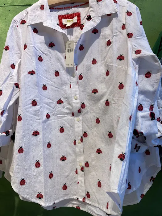 Anthropologie 3