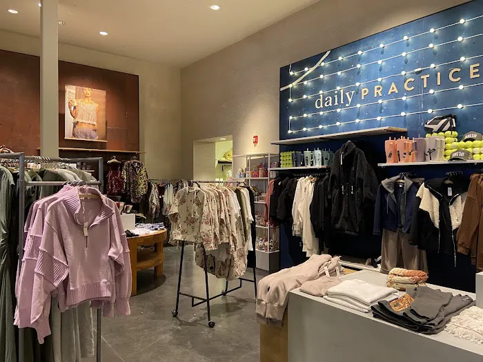 Anthropologie 2