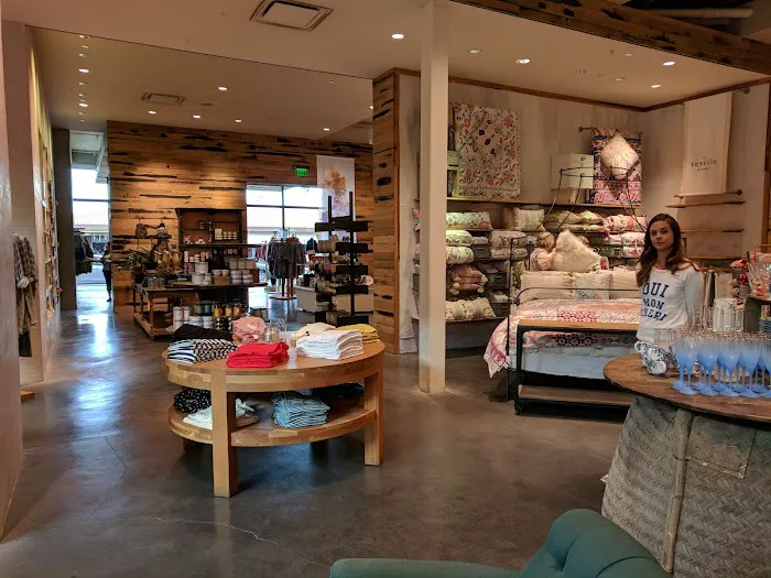 Anthropologie 4