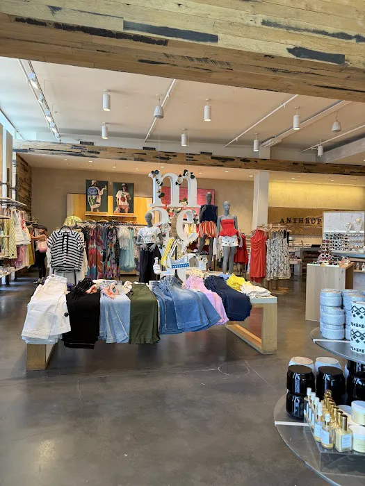 Anthropologie 5