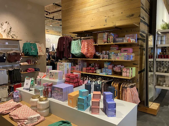 Anthropologie 7