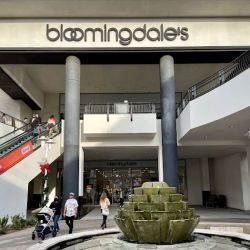 Bloomingdale's ico