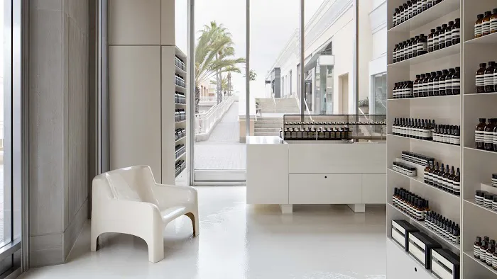 Aesop Fashion Valley 9