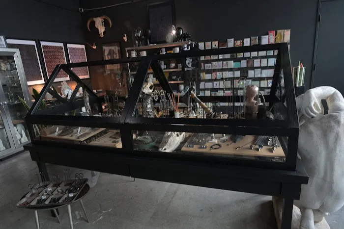 love & aesthetics - San Diego's most unique gift shop 3