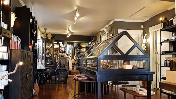 love & aesthetics - San Diego's most unique gift shop 9