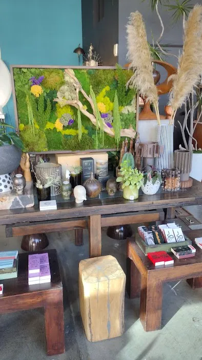 love & aesthetics - San Diego's most unique gift shop 8