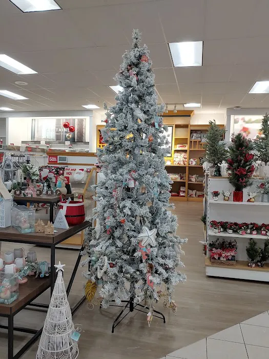 Kohl's 1