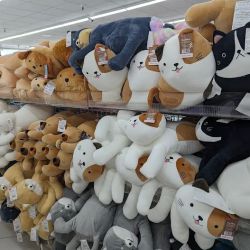 Daiso - Japanese Household Goods ico