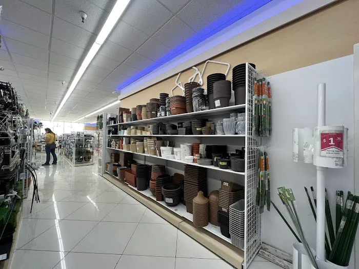 Daiso - Japanese Household Goods 9