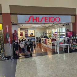 Shiseido ico