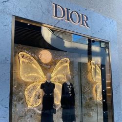 DIOR San Diego Fashion Valley ico