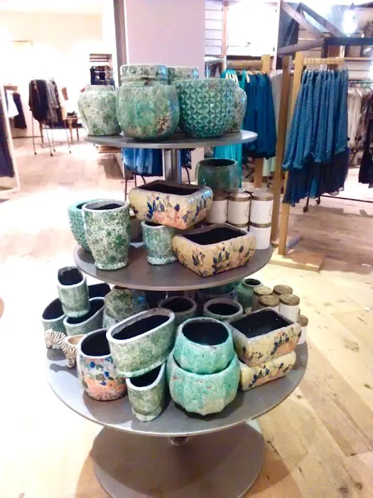 Anthropologie 2