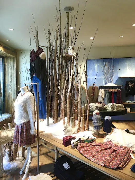 Anthropologie 3