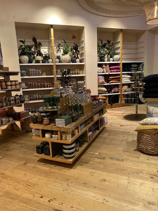 Anthropologie 6