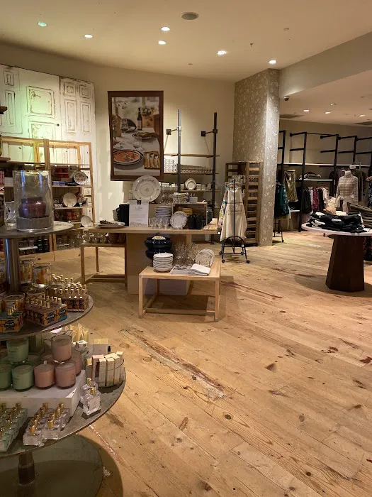 Anthropologie 9