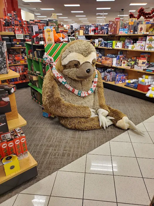 Kohl's 6