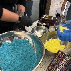 Lush Cosmetics North County ico