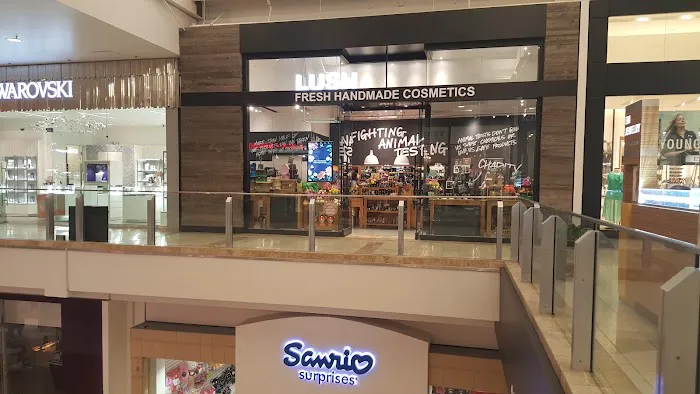 Lush Cosmetics North County 8