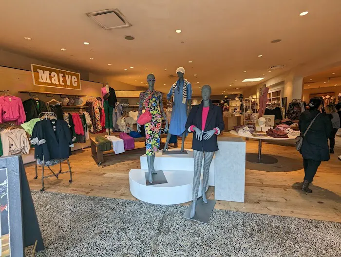 Anthropologie 2