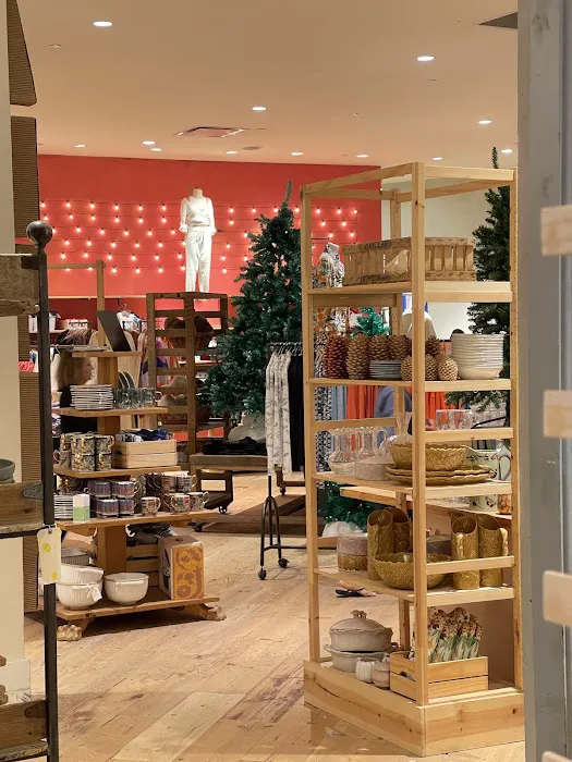 Anthropologie 1
