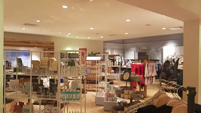 Anthropologie 4