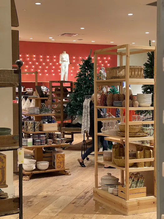 Anthropologie 5