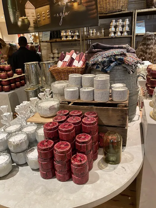 Anthropologie 3