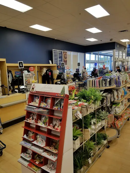 Marshalls 7
