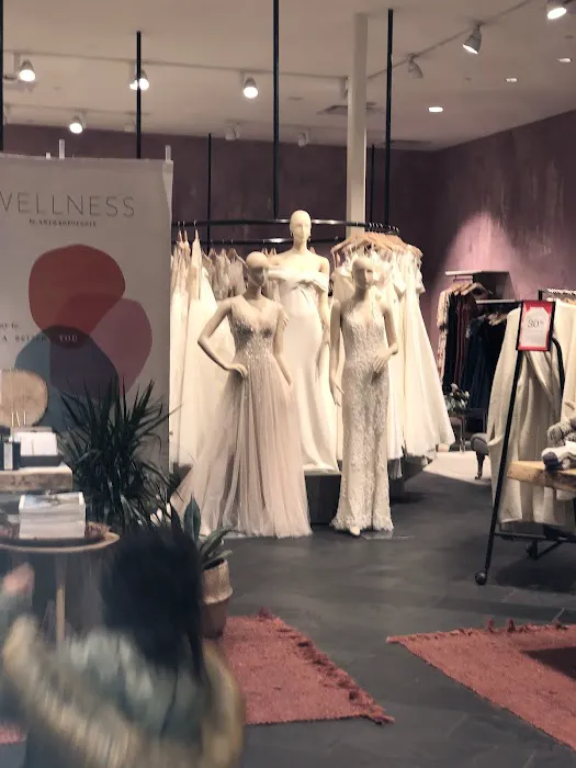 Anthropologie 1